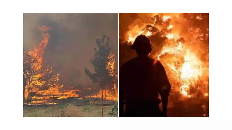 Orman Yangınlarına Karşı Yeni Strateji: Risk Yönetim Ekibi Devreye Giriyor!