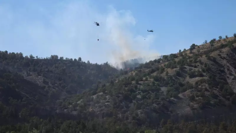 Orman Yangınlarıyla Mücadelede Dev Seferberlik: AFAD 119 Hava ve 1537 Kara Aracıyla Sahada!