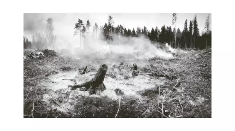 Osmanlı'nın Orman Yangınlarıyla Mücadele Stratejileri: Tarihten Günümüze İlham Veren Çözümler