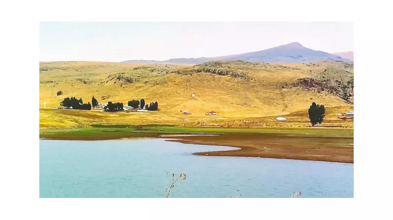 Patnos Barajı Alarm Veriyor: Kuraklık ve Kirlilik Canavarı Kapıda!