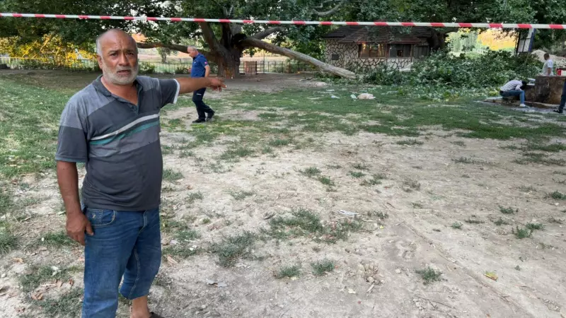 Piknikte Korkunç An: Dev Ağaç Dalı 11 Kişiyi Yaraladı!