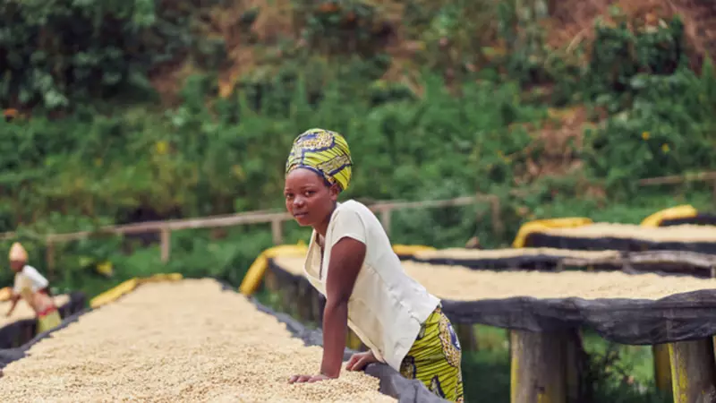 Ruanda Hakkında Bilmeniz Gerekenler: Telefon Kodu, Plaka Kodu ve Daha Fazlası!