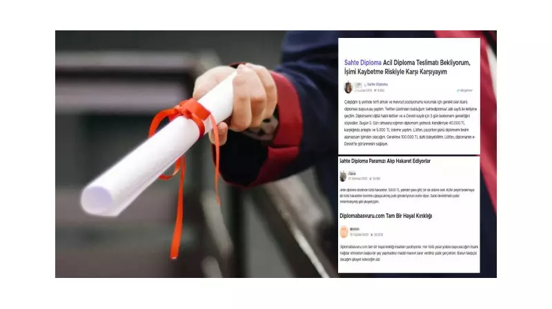 Sahte Diploma Peşinde Dolandırıldılar! İşte Şaşırtan Dolandırıcılık Hikayesi