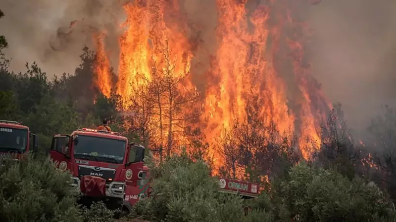 Sakarya, Bilecik, Eskişehir, Karabük ve İzmir'de Orman Yangınları: Alevlerle Mücadele Devam Ediyor!