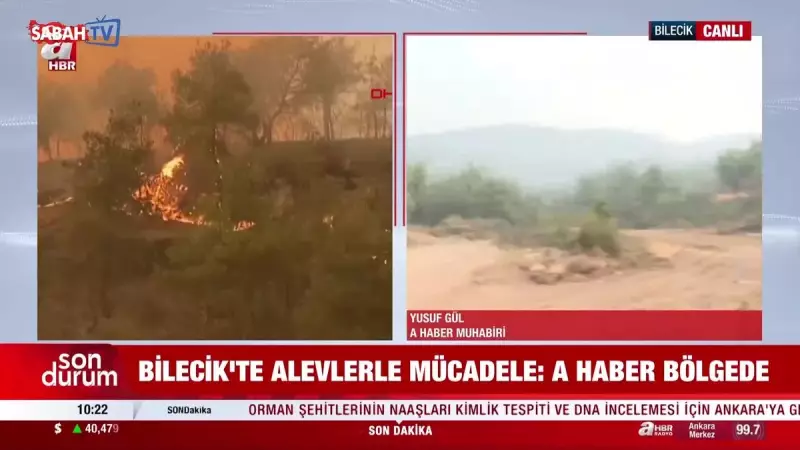 Sakarya, Bilecik ve Karabük'te Yangınlar Kontrol Altında: Son Dakika Gelişmeleri