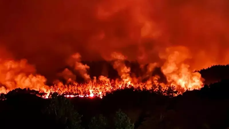Sakarya ve Bilecik'te Orman Yangını: Alevler Kontrol Altına Alındı mı? Son Dakika Detayları!
