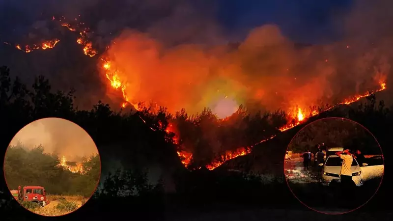 Sakarya ve Bilecik'te Orman Yangını: Alevlerle Mücadele Kritik 12 Saate Girdi!
