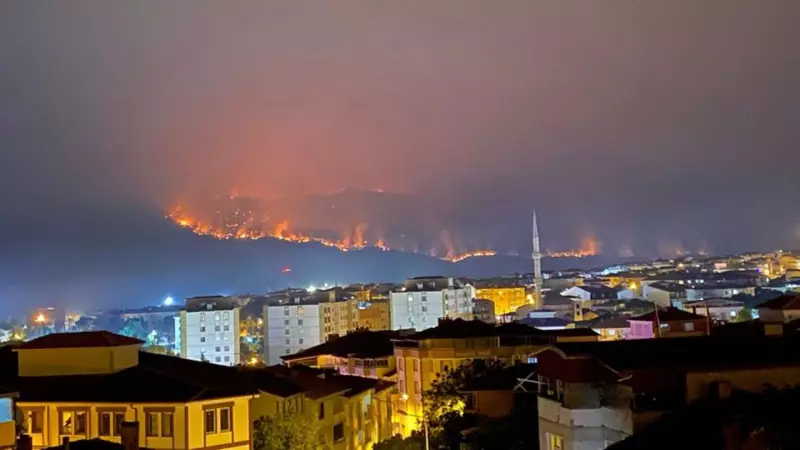 Sakarya'da Alevlerle Mücadele: Yangın Söndürme Ekipleri İkinci Günde de Seferber