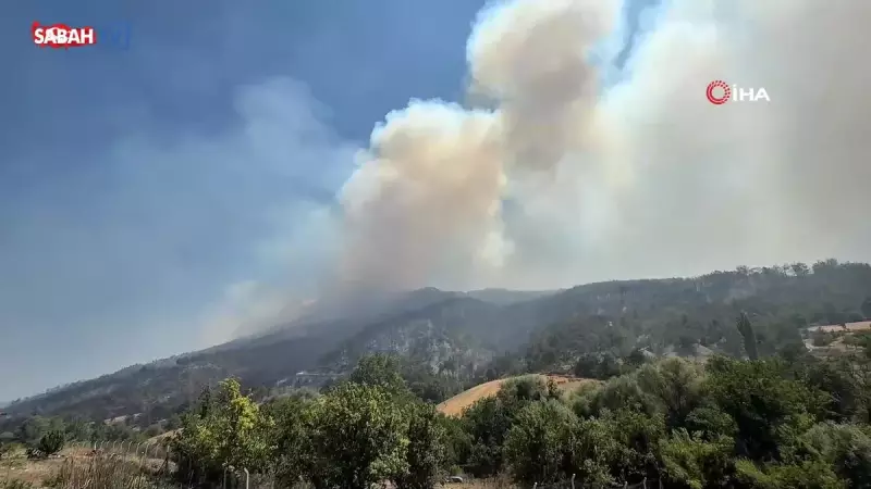Sakarya'da Çıkan Yangın Kısmen Kontrol Altına Alındı: Soğutma Çalışmaları Tüm Hızıyla Devam Ediyor!