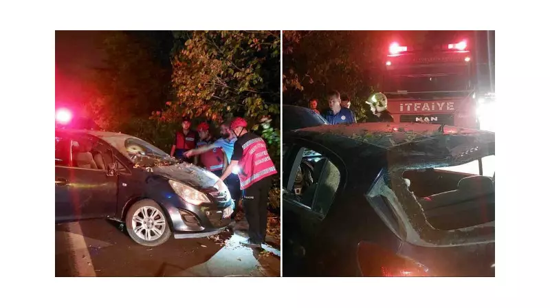 Sakarya'da Feci Kaza: Araç Uçuruma Uçtu, Anne ve İki Çocuğu Yaralandı!