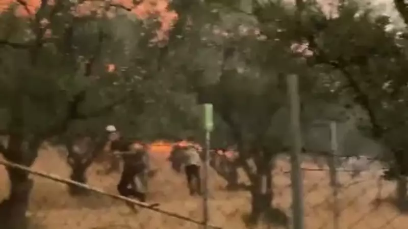 Sakarya'da Korku Dolu Anlar: Alevlerin Arasından Mucizevi Kaçış Kamerada!