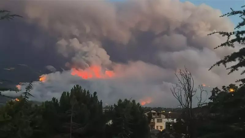Sakarya'da Orman Yangını Alarmı: 2 Mahalle Boşaltıldı, 3 Ev ve Kule Alevlere Teslim Oldu!