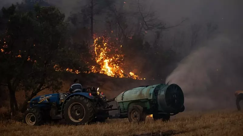 Sakarya'da Orman Yangını Tarım Arazilerine Sıçradı: Ekipler ve Vatandaşlar Canla Başla Mücadele Ediyor!