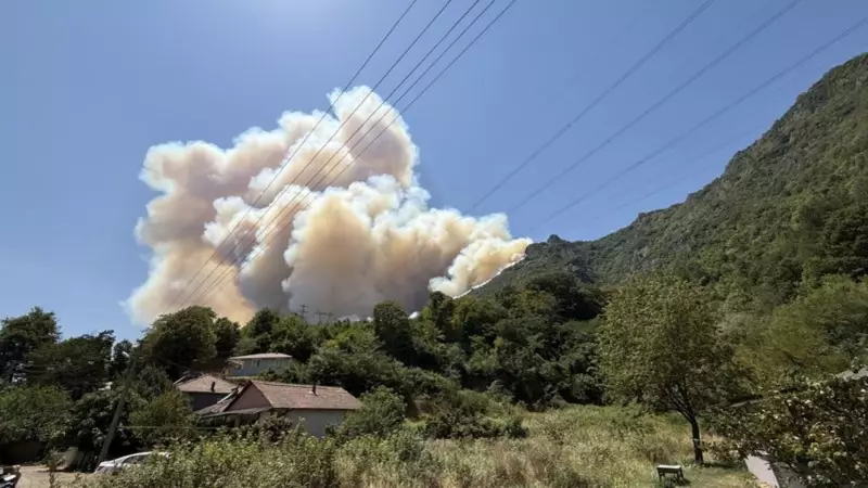 Sakarya'da Orman Yangını Alarmı! Alevler Yeniden Harekete Geçti