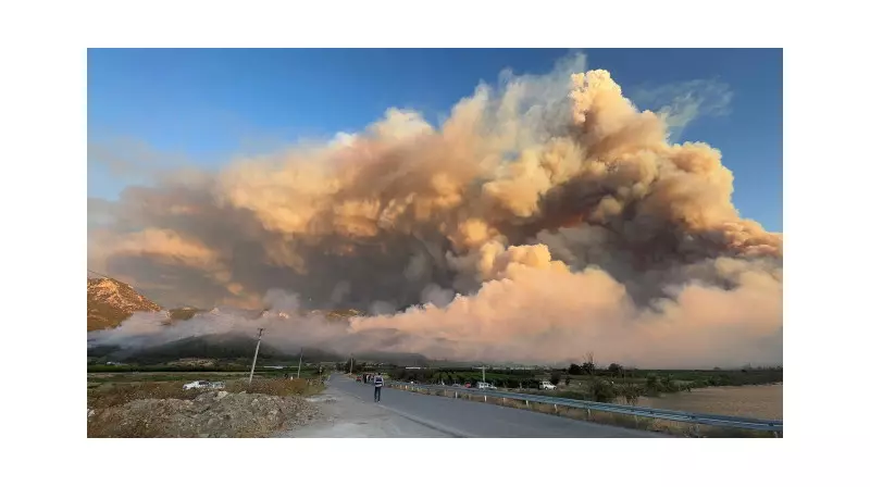 Sakarya'daki Orman Yangınında Son Durum: Alevler Kısmen Kontrol Altında!