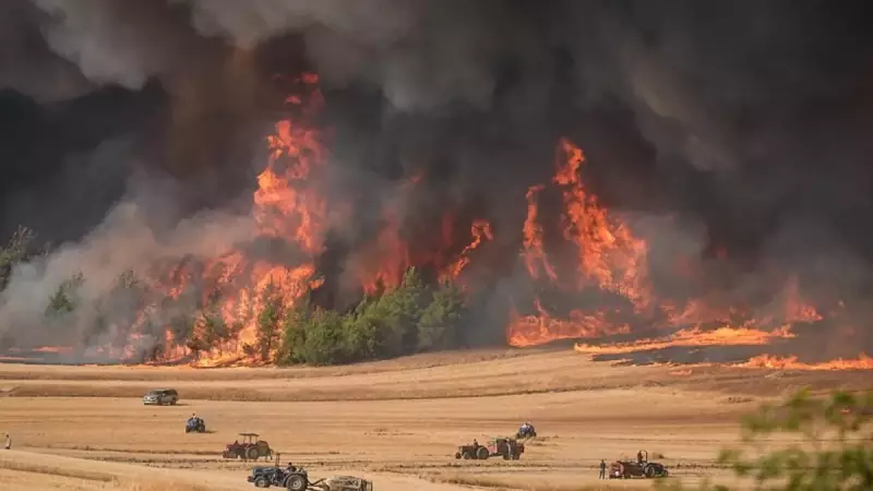 Sakarya'daki Yangın Bilecik'e Sıçradı: Ekipler Gece Gündüz Demeden Mücadele Ediyor!