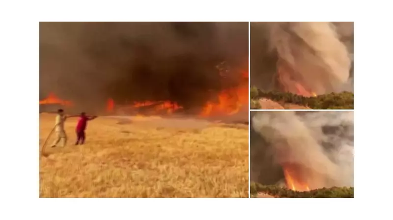 Sakarya'dan Bilecik'e Sıçrayan Orman Yangını: Genel Müdürün Telefonuna Yansıyan Görüntü Şaşırttı!