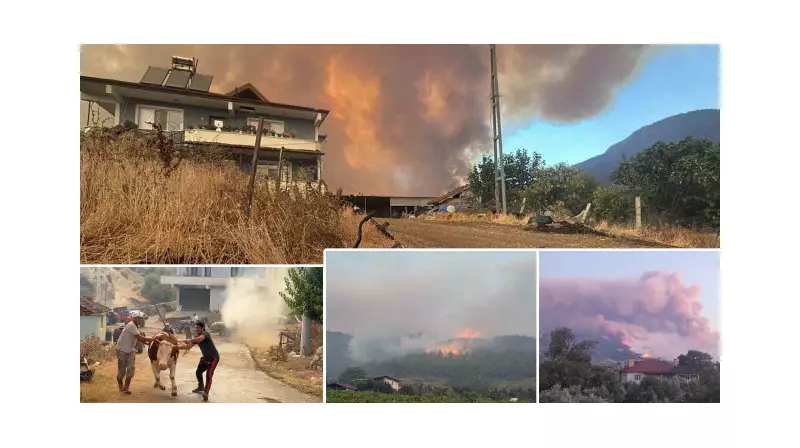 Sakarya'nın Geyve İlçesinde Orman Yangını: Tasoluk Mahallesi Tahliye Edildi!