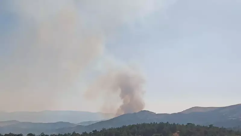 Sandıklı ve Hocalar Arasında Çıkan Orman Yangını: Alevlerle Mücadele Devam Ediyor!