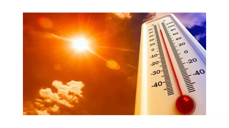 Şanlıurfa ve Kilis'te Sıcaklıklar Rekor Kırıyor: İşte Alınması Gereken Önlemler!