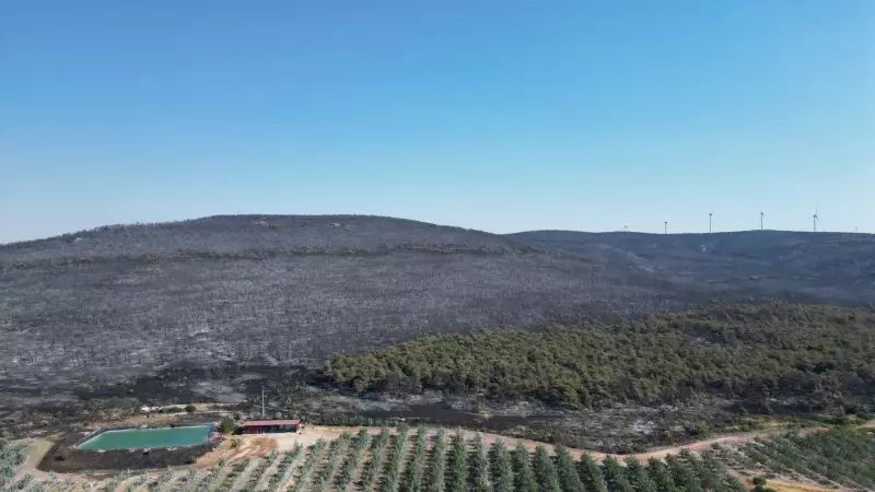 Şarköy Yangını Sonrası: Yürekleri Dağlayan Manzara ve Umut Işığı