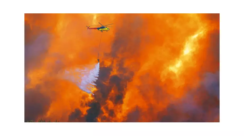Şarköy'de Alevlerle Mücadele: İtfaiye Ekipleri Gece Gündüz Demeden Çalışıyor