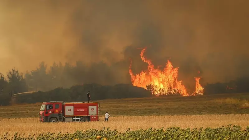 Şarköy'deki Orman Yangınına Havadan ve Karadan Yoğun Müdahale: Bakan Yumaklı Bölgede!