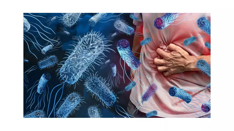 Sıcak Havalarda Salmonella Tehlikesi: Uzmanlar Uyarıyor!