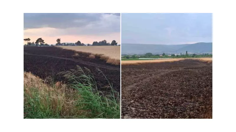 Şimşek Çarpmasıyla Alev Alev Olan Tarlada 8 Ton Buğday Kül Oldu!