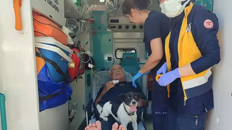 Sinem Kobal ve Kenan İmirzalıoğlu Sahilde Romantik Pozlar Verdi! İşte O Anlar