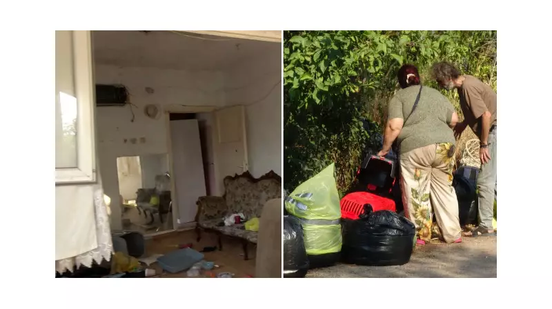 Sokakta Topladıkları Hayvanları Evlerine Hapsedenler! Ekipler 25 Cana El Koydu, 17'si Hayatını Kaybetti