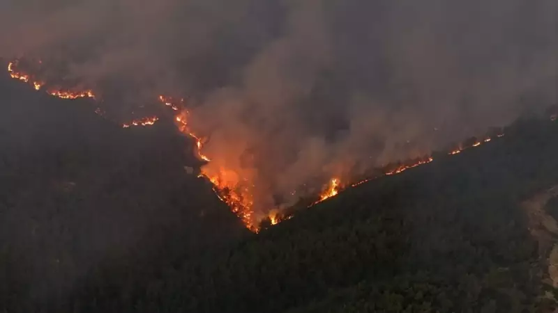 Son Dakika: 3 İlde Alevlerle Mücadele! Orman Yangınlarında Son Durum