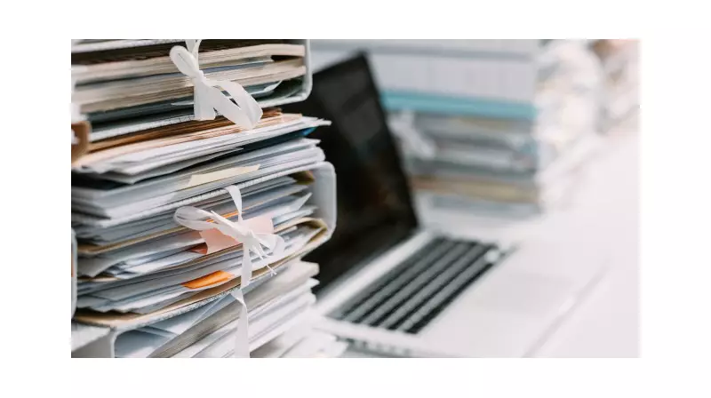 İstanbul Üniversitesi-Cerrahpaşa'da Yeni Atama: İdari ve Mali İşler Daire Başkanı Belli Oldu!