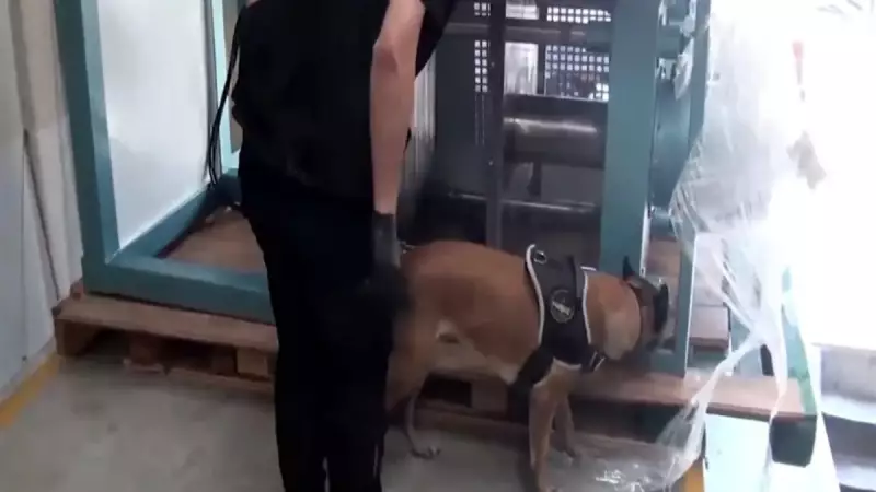 İstanbul'da TIR'dan Çıkan Şok Edici Keşif: Tam 60 Kilo!