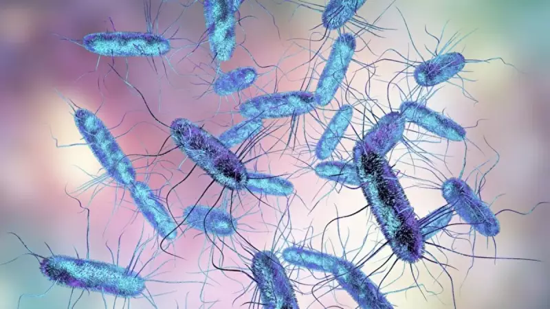 Süper Böcekler Dünyayı ve Ekonomiyi Tehdit Ediyor: Görünmez Tehlike Büyüyor!