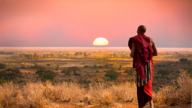 Tanzanya Hakkında Bilmeniz Gerekenler: Telefon Kodu, Plaka Kodu ve Daha Fazlası!