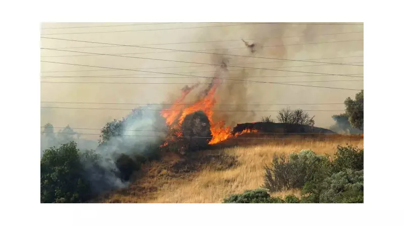 Tarım Arazisinde Başlayan Yangın Ormana Sıçradı: Müdahale Devam Ediyor!