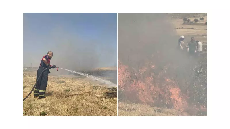 Tatvan'da Çıkan Orman Yangını Kontrol Altına Alındı: İşte Son Durum!