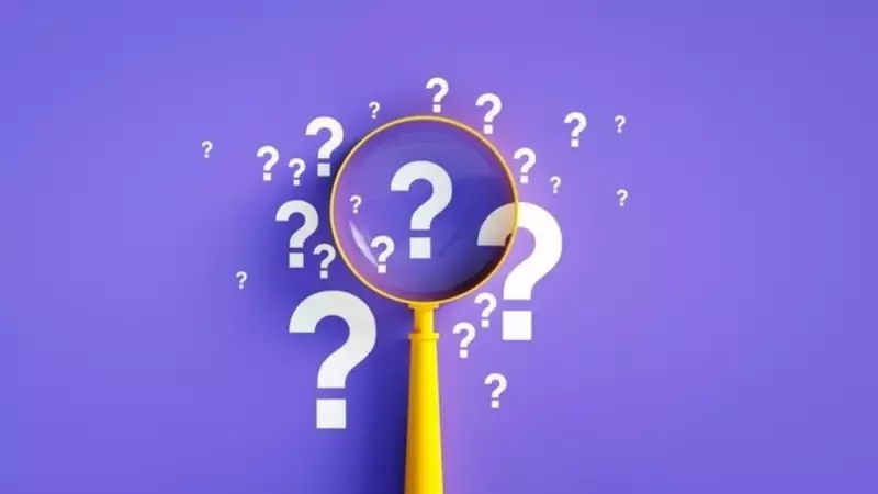 TDK'ya Göre 'İçgüdü' Nasıl Yazılır? Ayrı mı, Bitişik mi? İşte Doğru Yazımı!