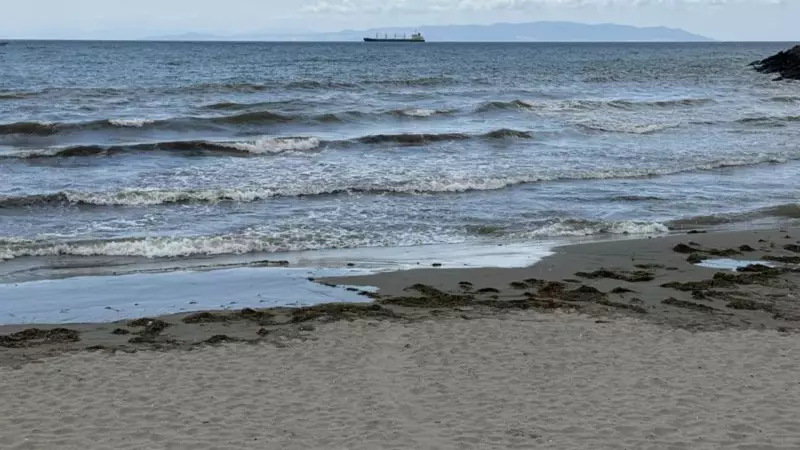 Tekirdağ Sahillerinde Yüzme Yasaklandı: İşte Nedeni ve Detaylar!