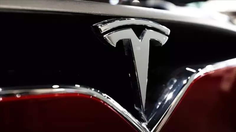 Tesla'nın Avrupa'daki Satışları Haziran'da Düştü: İşte Detaylar!