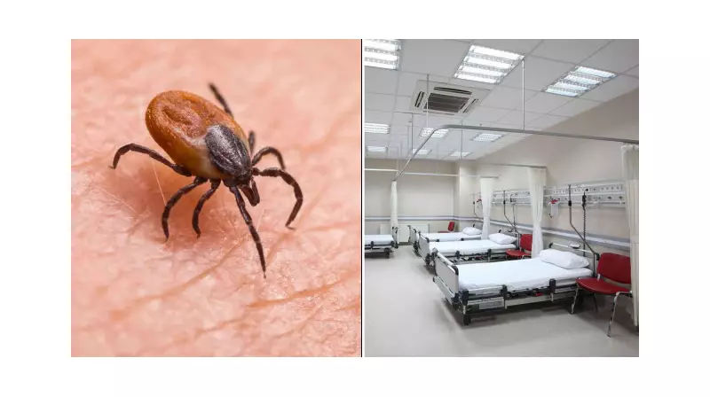 Tokat'ta Kırım Kongo Kanamalı Ateşi Alarmı: 7 Kişi Tedavi Altında!