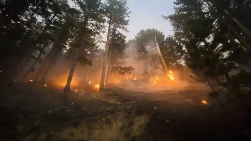 Türkiye'de 5 İlde Alevlerle Boğuşan Ormanlar: Yangınlarla Mücadele Tüm Hızıyla Sürüyor!