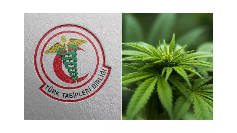 TTB'den Çarpıcı Uyarı: Kenevir Kullanımı Halk Sağlığını Tehdit Ediyor!