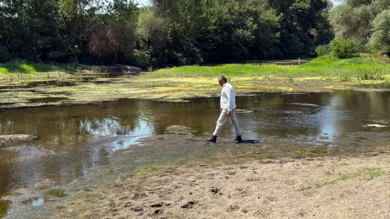 Tunca Nehri Alarm Veriyor: Çeltik Üreticileri Kuraklık Kâbusuyla Karşı Karşıya!
