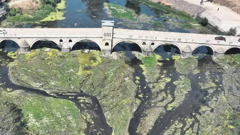 Tunceli'de Su Krizi: Hayrabolu Deresi Kurudu, Köylüler Endişeli!