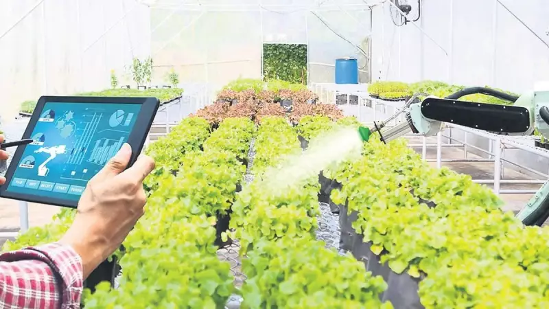 Türk Çiftçileri Avrupa'da Dijital Tarımın Lideri Oldu: Teknolojiye Yatırımın Meyvesi!