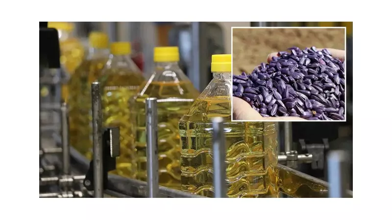 Yağlık Ayçiçeği Tohumu ve Ham Yağı İthalatında Yeni Düzenleme: Kontenjanlar Yenilendi!