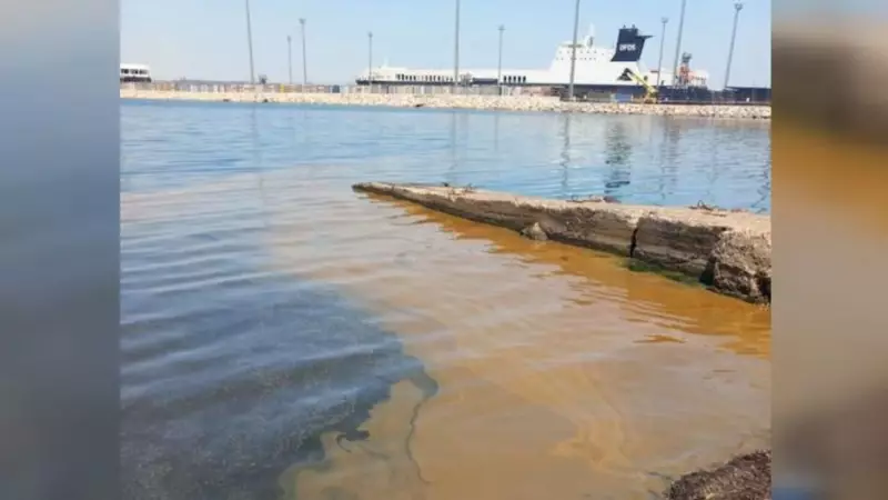 Yalova'da Denize Atık Yağ Bırakıldığı İddiası: İşletmeye Şok Operasyon!