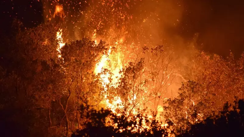 Yeşil Vatan İçin Gözyaşlarıyla Örülü Dayanışma: Vatandaşlar Yangın Bölgesine Koştu!